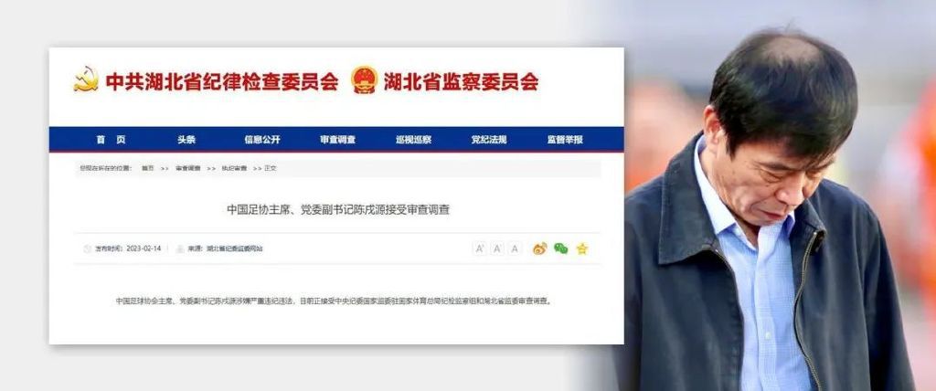 我心中的D杯侦探感