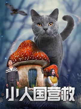 高柳家在线播放