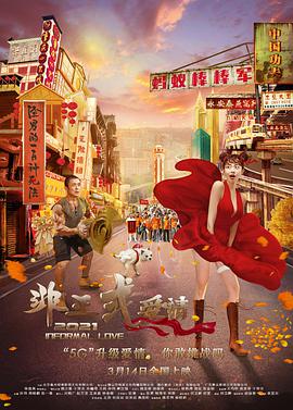 台湾佬视频