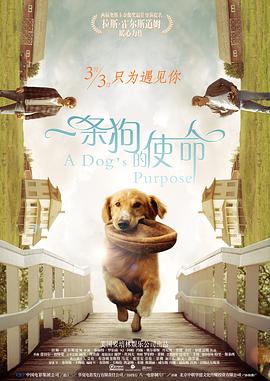国产欧美一区二区精品性色99