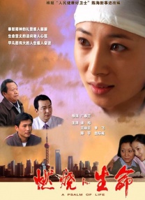 完美组合