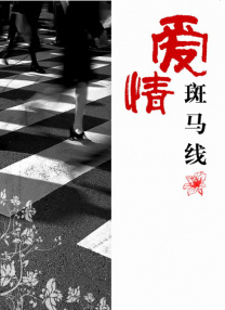 我才是岚岚麻将桌