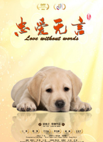 近年来的第一次经验