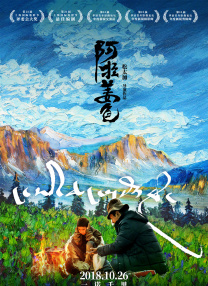 啄木鸟视频