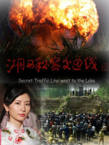 精品久久久久久国产